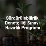 Sürdürülebilirlik Denetçiliği Sınavı Hazırlık Programı