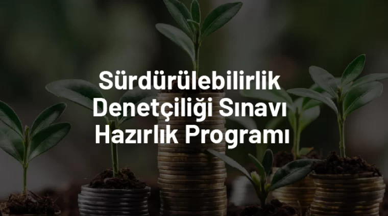 Sürdürülebilirlik Denetçiliği Sınavı Hazırlık Programı